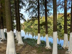 -艾溪湖湿地公园
