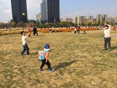 -映月湖中央公园
