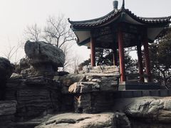-丰台花园