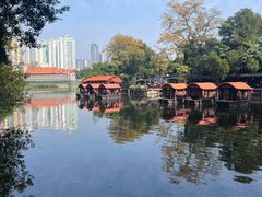 -侨美·唐荔园·40年地道粤菜