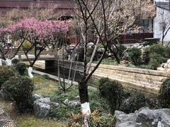 -苏州吴宫泛太平洋酒店