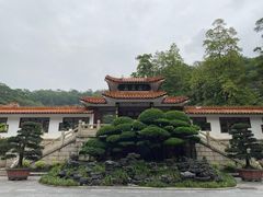-深圳仙湖植物园