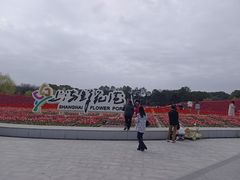 -上海鲜花港