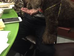 -颜氏双江清水鱼一养身火锅(磁器口店)