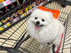 -沐沐家宠物(成寿寺店)