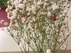 -美喇月子中心(南沙进港店)