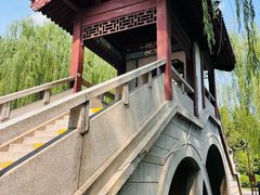 -团结湖公园