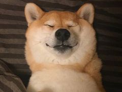 -Wagas沃歌斯(大学路店)