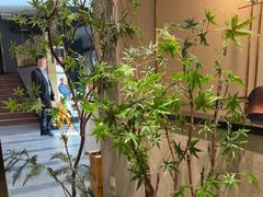 -刘胖子家常菜·蹄花焖藕(中南店)