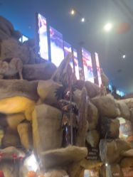 -卡通尼·Safari非洲探索乐园·生日会(金桥国际商业广场店)