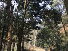 -黄公望隐居地