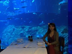 -湾景餐厅(海洋公园店)