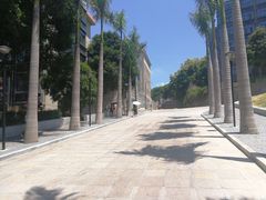 校园-厦门大学(思明校区)
