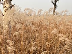 -汉长安城未央宫国家考古遗址公园