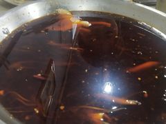 -川渔郎·鱼蛙自助火锅(文殊院店)