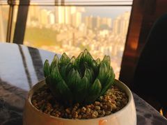 -粤海璇宫·木棉花高空旋转餐厅·聚会派对