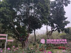 -人民公园(罗湖区)