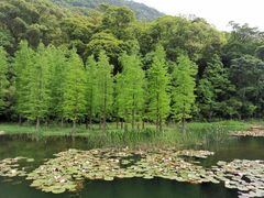 -广州市石门国家森林公园