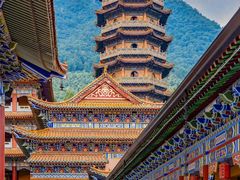 -天目山大树王景区