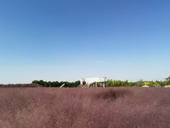 -嘉北郊野公园