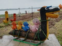 -长兴太湖图影湿地文化园