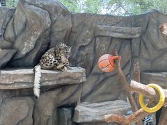 -青藏高原野生动物园