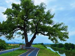 -乌龙涧铁道铁轨景
