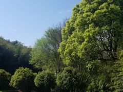-苏州环秀晓筑养生度假村
