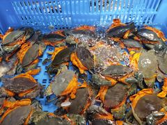 -盒马鲜生(解百新元华店)