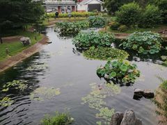 -国家植物园南园