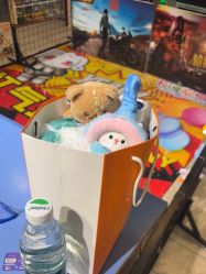 -卡通尼·Safari非洲探索乐园·生日会(金桥国际商业广场店)