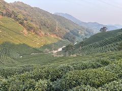 -午潮山国家森林公园