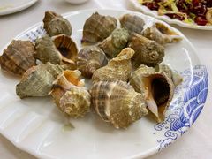 清蒸小海螺-北戴河庆山饭店·海鲜砂锅粥(北戴河黑石路店)