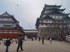 -名古屋城