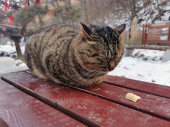 -终南山南五台景区