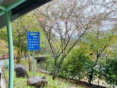 -百杖潭景区