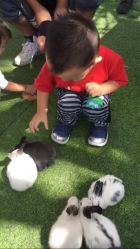 -萌宠亲子动物乐园(槐房万达店)