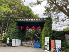 -华侨城湿地公园