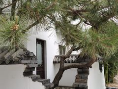 -新川办餐厅