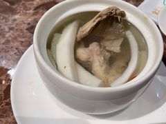 椰皇炖老鸽汤-蕉棠·鸽子餐厅(柳州万象城店)
