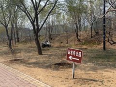 -白水寺森林公园