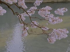 -红星桥(地铁站)