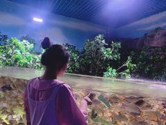 -多彩贵州城极地海洋世界