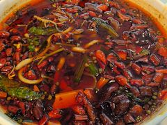 -陈麻婆豆腐(旗舰店)