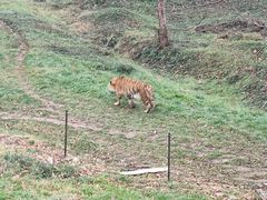 -合肥野生动物园