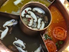 -老诚一锅羊蝎子(黄寺大街店)