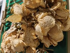 -初拾·花里餐厅(钜城华亿店)