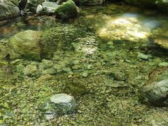 -牛背梁国家森林公园