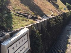 -东望洋炮台东望洋灯塔