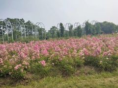-尚贤河湿地